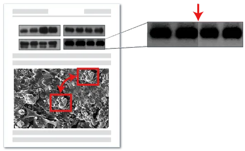 图片处理识别示例