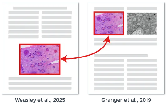 学术图片查重场景